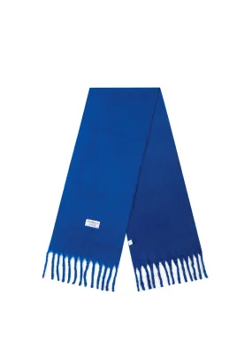 Fresh Blueberry Scarf